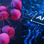 IA descobre antibiótico controlador da gonorreia com “vagina in chip” infectada