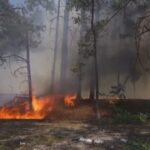 Incêndio florestal avança em área radioativa de Chernobyl