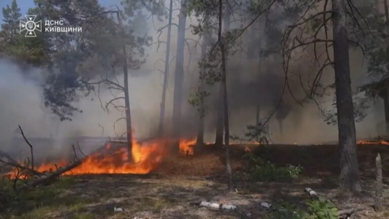 Incêndio florestal avança em área radioativa de Chernobyl