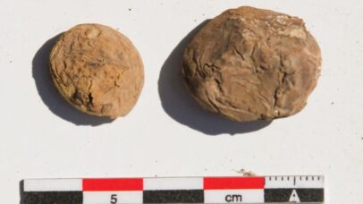Batatas de 500 anos revelam segredos da dieta do Império Inca