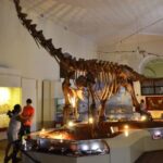 Luzia: a maior descoberta arqueológica do Brasil sobreviveu a um desastre de 2018