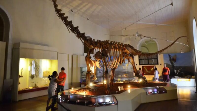 Luzia: a maior descoberta arqueológica do Brasil sobreviveu a um desastre de 2018