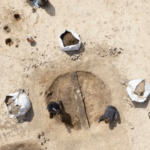 Descoberta na Dinamarca aponta que imagem dos vikings teria sido distorcida