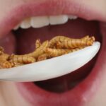 Novo estudo revela por que a humanidade passou a comer menos insetos