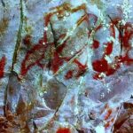 Pinturas rupestres indígenas inéditas são encontradas na Amazônia