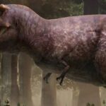 Tiranossauro Rex crescia até os 40 anos, revela estudo com fósseis