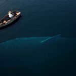 Cientistas descobrem o que são os ‘vozes’ assombrosas do fundo do mar