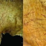 Estudo revela prática funerária rara na Escócia pré-histórica