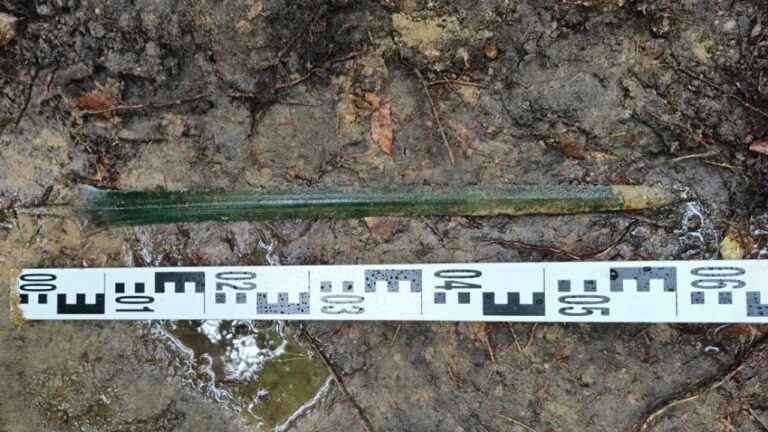Espada da Idade do Bronze é descoberta em floresta na Polônia