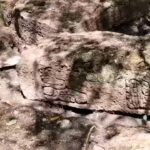 Arqueólogos descobrem cidade maia intacta e perdida há mais de mil anos no México