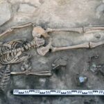 Sepultamento medieval raro revela mulher, recém-nascido e pele de cavalo na Sibéria