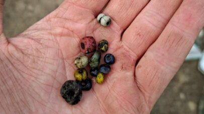Túmulos da Idade do Ferro com contas de vidro raras é descoberto na Suécia