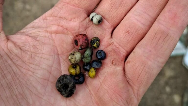 Túmulos da Idade do Ferro com contas de vidro raras é descoberto na Suécia