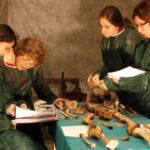 Análise de DNA revelou motivo da morte de 2 irmãos da família Médici há 500 anos