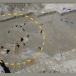 Há 7 mil anos, humanos já introduziam peixes em lagos