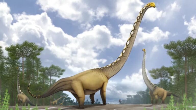 Nova espécie de dinossauro é descoberta na Tailândia