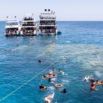 Estudo diz que barcos e turistas atrapalham comunicação entre peixes