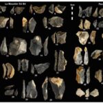 Estudo revela que neandertais tinham estratégias de fabricação de ferramentas