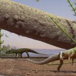 Fóssil de réptil encontrado no Brasil explica evolução entre crocodilos e dinossauros