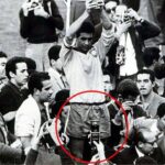 Suposto “celular” em foto da Copa de 1962 alimenta teorias