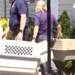 Resgate em Long Island: 155 animais são salvos de casa em condições cruéis