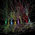 Por que não temos memórias da primeira infância? Estudo explica