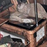 O mistério do velejador alemão encontrado mumificado em barco
