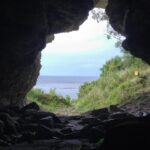 Lobos foram levados por humanos a ilha remota na Suécia há 5 mil anos, diz estudo