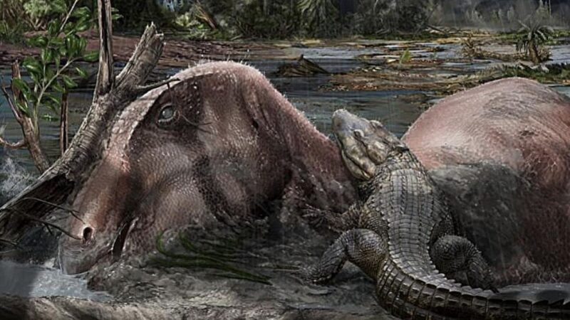 dinossauros tempestade capa
