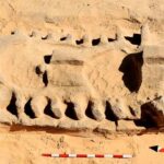 Assentamento egípcio de 3.500 anos é descoberto no delta do Nilo