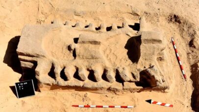 Assentamento egípcio de 3.500 anos é descoberto no delta do Nilo