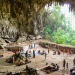 Estudo revela que ‘Hobbit’ não caçava nem dominava o fogo