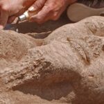Como estátua de Ramsés II percorreu centenas de quilômetros pelo deserto?