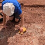Vila romana com mosaico raro é descoberta sob fazenda na Inglaterra