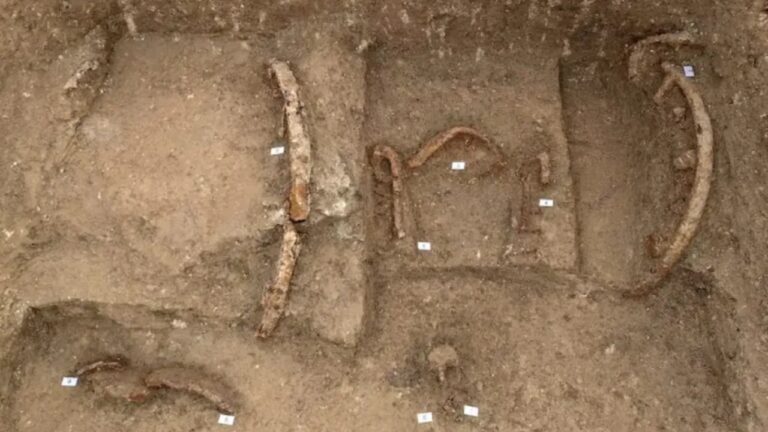 Arqueólogos descobrem túmulo principesco de 2.500 anos na Itália