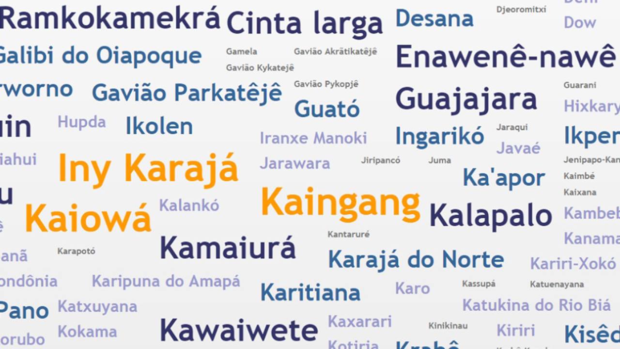 Você sabe quantas culturas indígenas existem no Brasil?