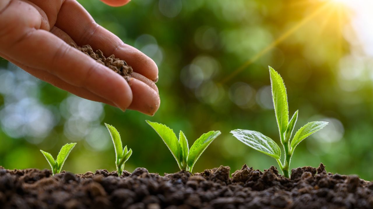 O crescimento da agricultura levou a uma maior cooperação, mas também ao aumento da violência