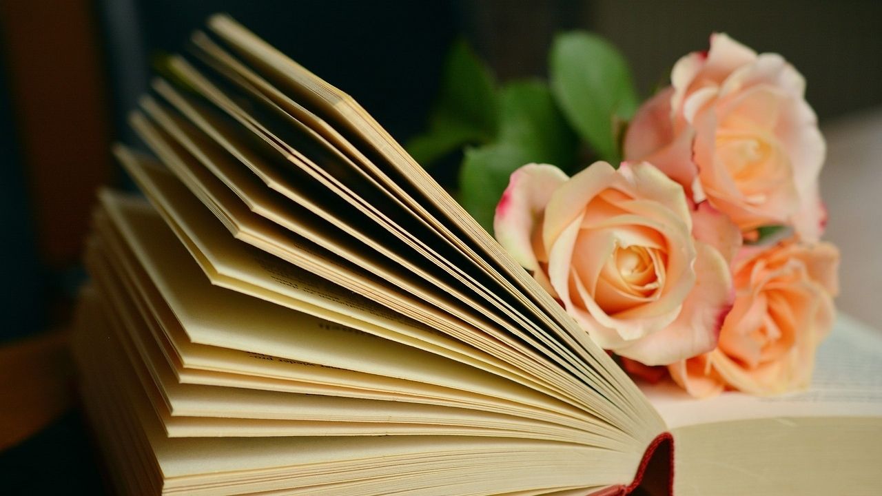 Book Friday: 12 livros sobre romance para você se apaixonar