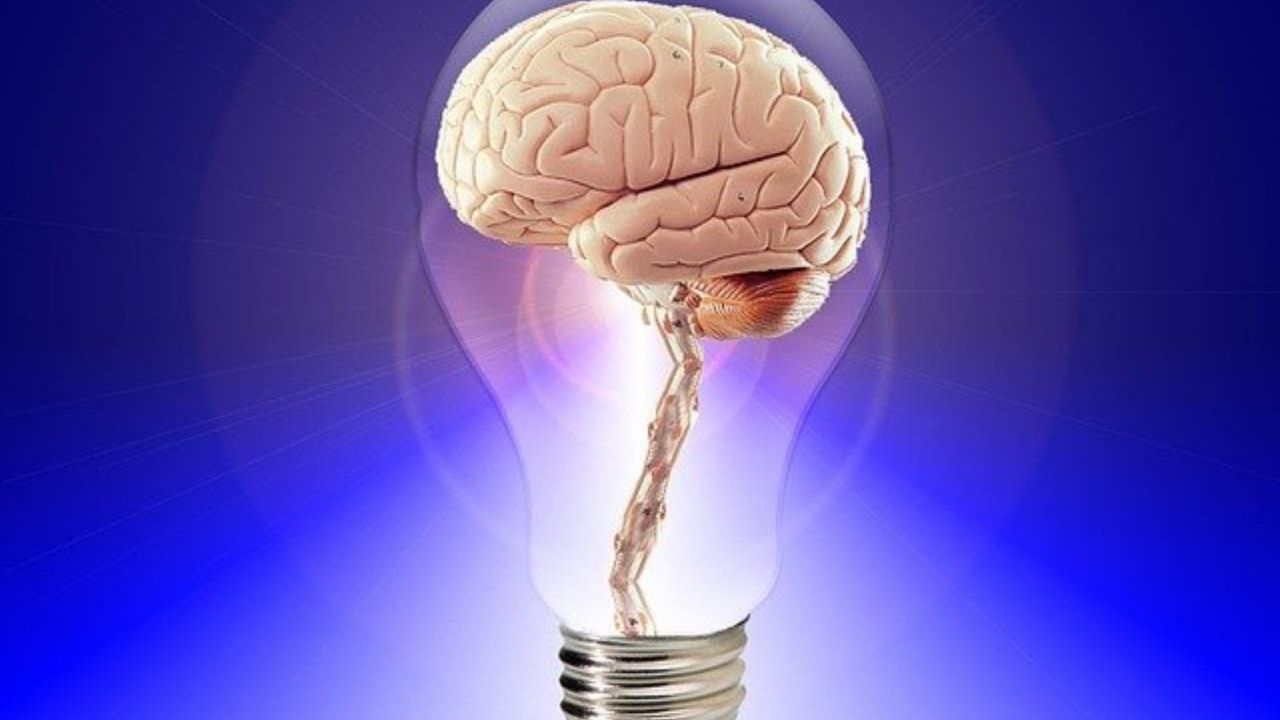 Obra inédita analisa significado pejorativo do termo “histeria”