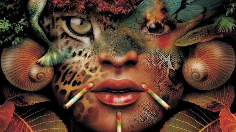 Folclore brasileiro: conheça 10 livros para se aprofundar no tema