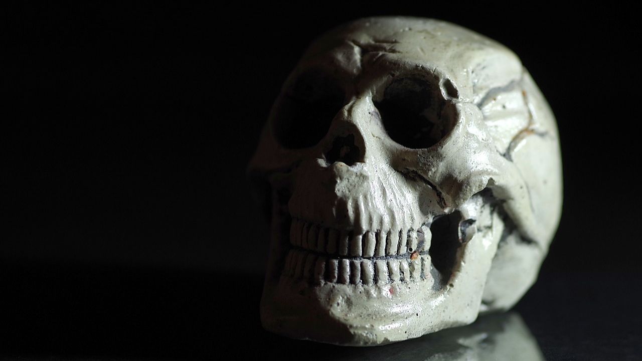 Obra apresenta personagens históricos que cometeram horrores em prol da ciência