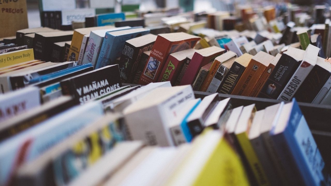 Dia Nacional do Livro: 40 lançamentos de diferentes gêneros literários