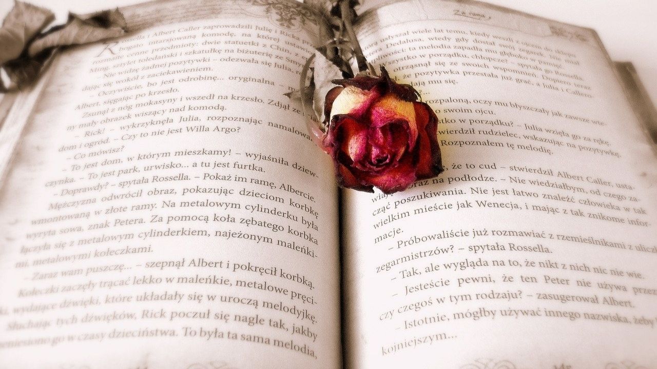 Casa Comigo: o romance picante que faz sucesso no Wattpad e na Amazon