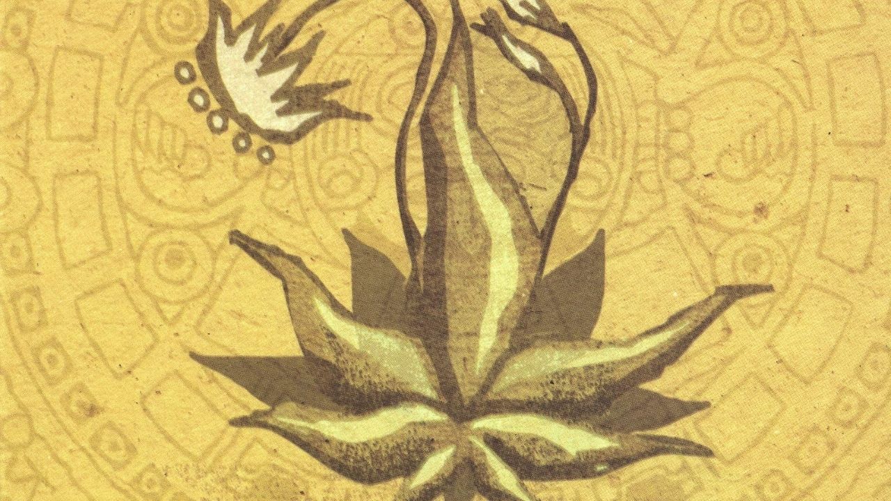 ‘Os quatro compromissos’: conheça o livro que está entre os mais vendidos da Amazon