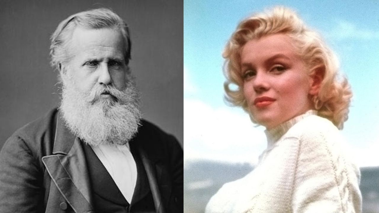 De Dom Pedro II a Marilyn Monroe: 50 livros importantes de personalidades históricas