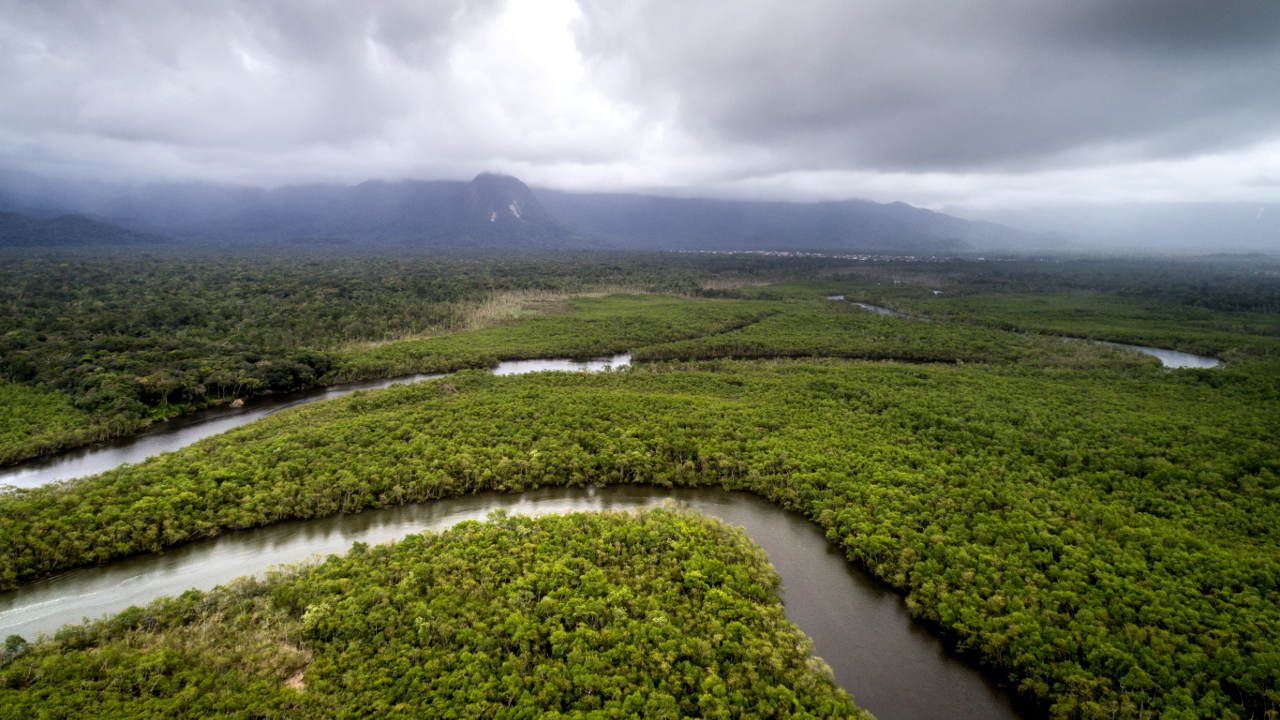 Caçadores-coletores viveram na Amazônia há mais de 10 mil anos