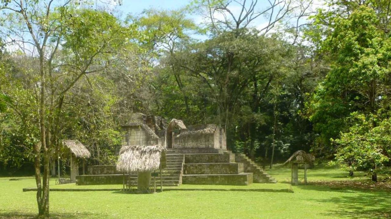 Restos de animais revelam passado singular de antiga cidade maia