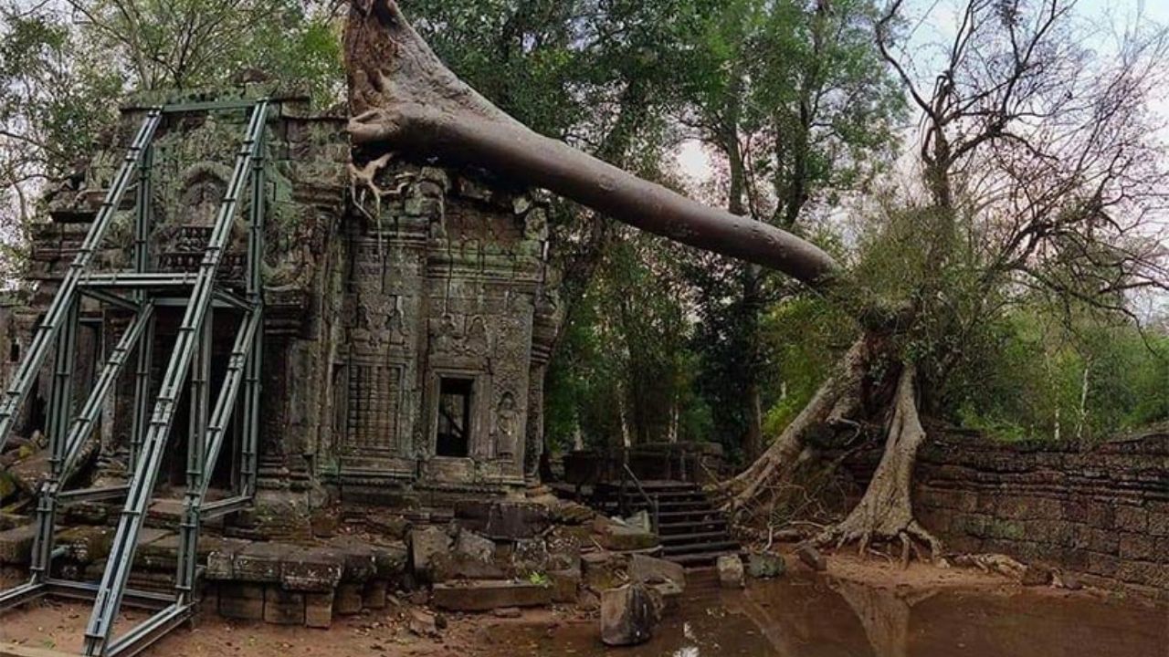 Tempestade derruba árvores em templos históricos do Angkor Wat
