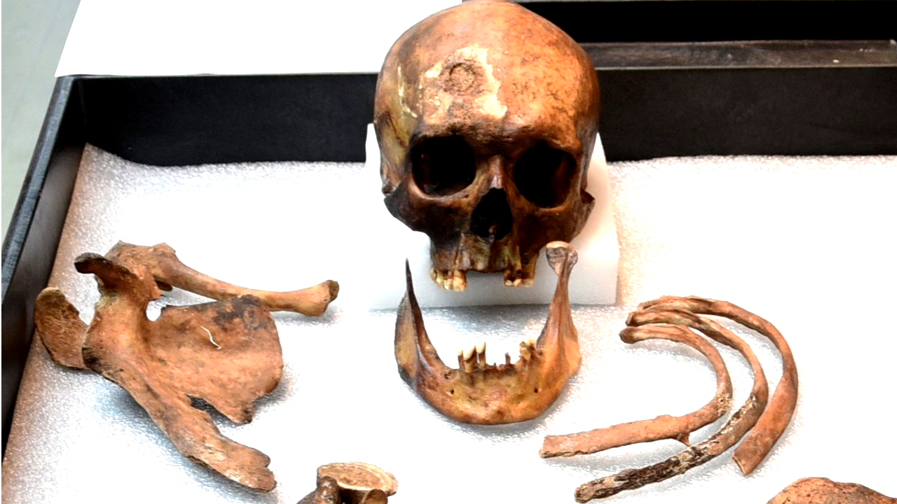 Vampiro do século 18 tem a sua identidade revelada