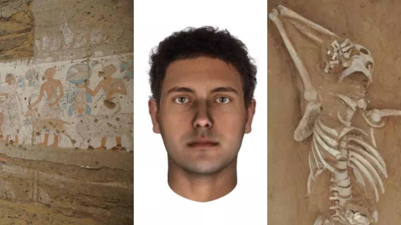 Tumba no Egito, dinossauro mais longo e campo de batalha: 8 descobertas impressionantes
